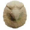 foto-maskaron-reznoj-onewood-msls-06-01